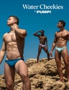 PUMP パンプ メンズ水着 ビキニ WATER CHEEKY （オーキッドウォーター） ビキニパンツ ブーメラン 競パン 男性水着 スイムウェア