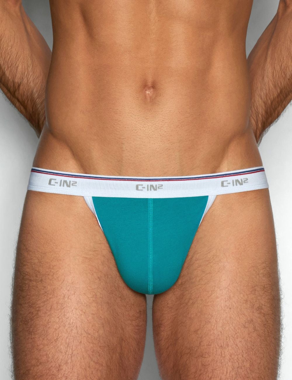 C-IN2 Tバック THROWBACK THONG （タッカーティール） サポーター メンズTバック CIN2 シーインツー メンズ下着 インナー 男性 パンツ アンダーウェア ブランド