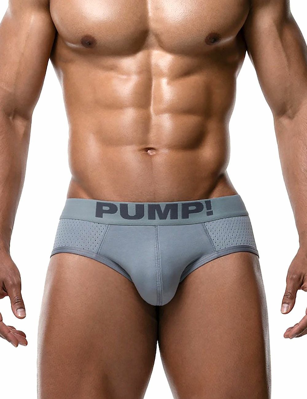 PUMP パンプ ローライズブリーフ ビキニ GRAY CLASSIC BRIEF PUMP! Underwear メンズ 男性下着