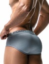 PUMP パンプ ローライズブリーフ ビキニ GRAY CLASSIC BRIEF PUMP! Underwear メンズ 男性下着